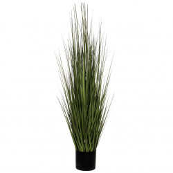 Herbes hautes en pot - 110 cm