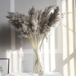 Fleur de PAMPA 117cm - 3 branches grises séchées