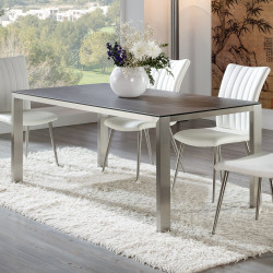 TABLE A MANGER CRISTAL RECTANGULAIRE