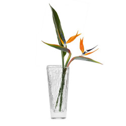 Vase DOLOMITI