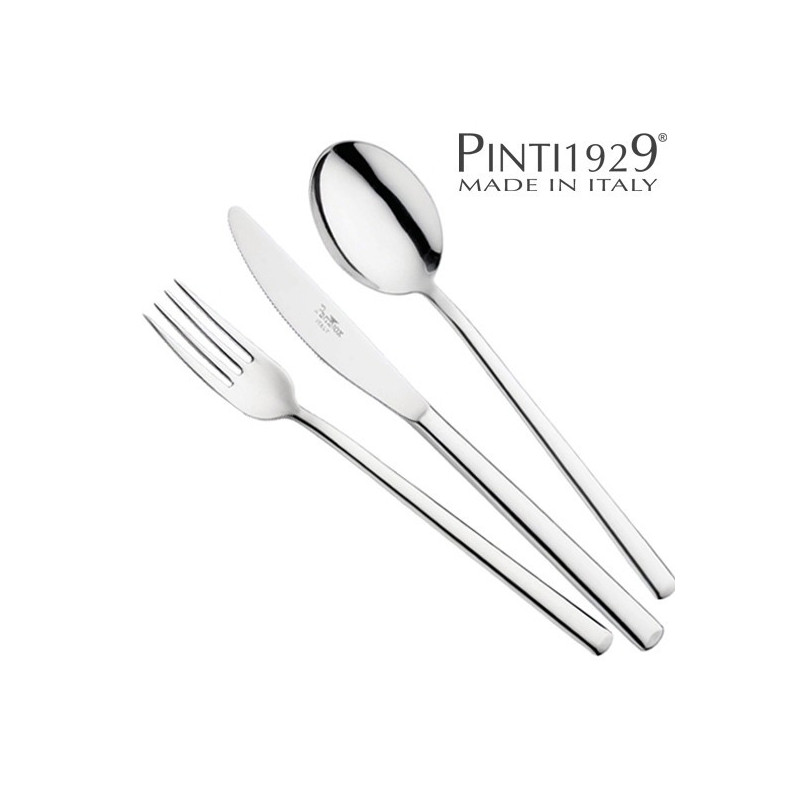 MENAGERE 49PCES SYNTHESIS By PINTINOX
