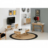 Console LIDIE