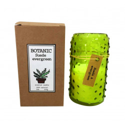 BOUGIE BOTANIC BIO - Pin Suédois 250g