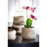Vase / Contenant BIO en bois massif sculpté