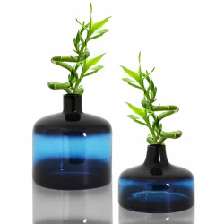 Duo de Vases OBY en verre soufflé Klein - MEDIEUM