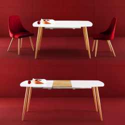 Table extensible KAMI