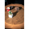 Table basse BEYROUTH - Noyer / Acier All Black